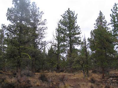 Squaw Creek Canyon - Land