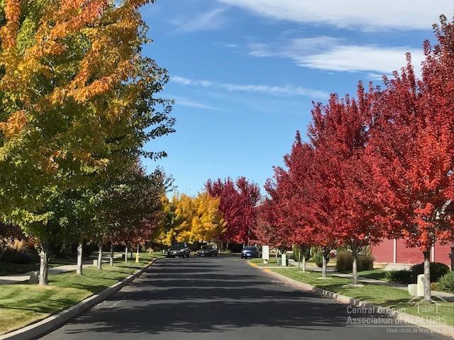Canyon Rim Village - Land