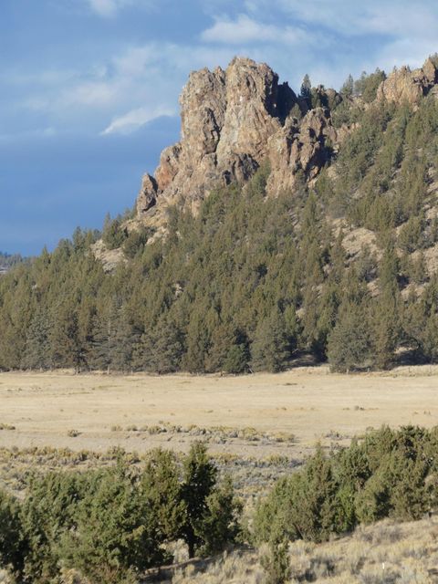 Tiny photo for 1446 NE Whistle Way, Prineville, OR 97754 (MLS # 220212038)