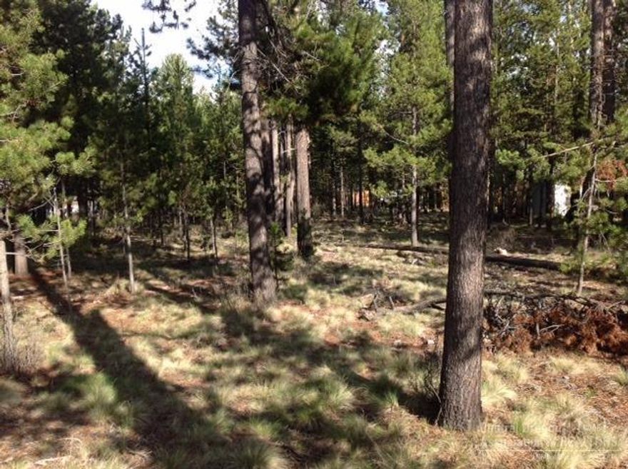 This is a wonderful price on a lot with sewer and water utilities located at the street. This subdivision has a boat ramp for the owners to use which makes having fun on the Deschutes River really easy.