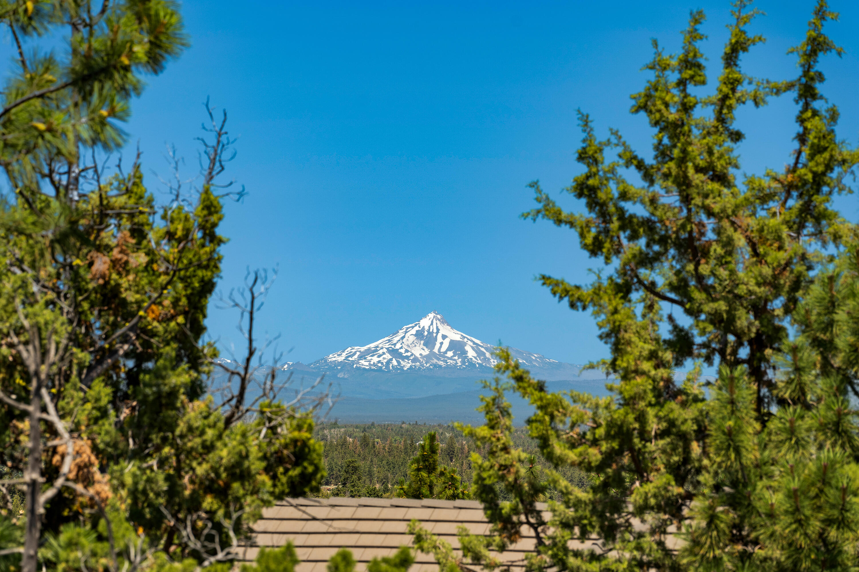 North Rim - Residential