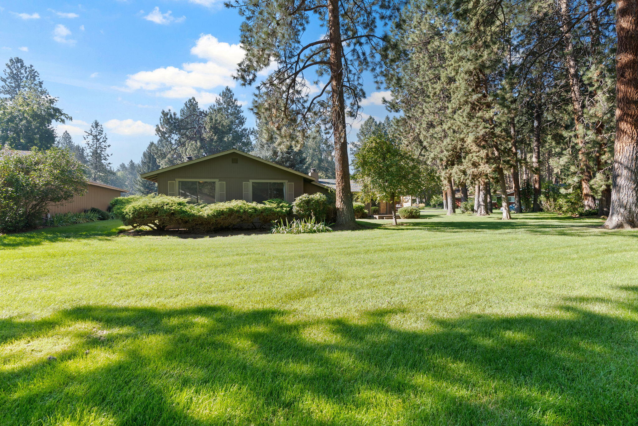 Timber Ridge - Residential