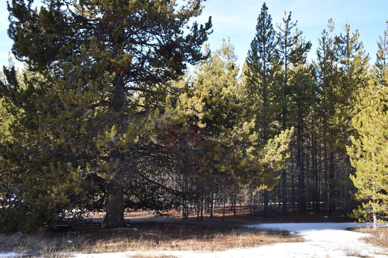 Woodland Park - Residential