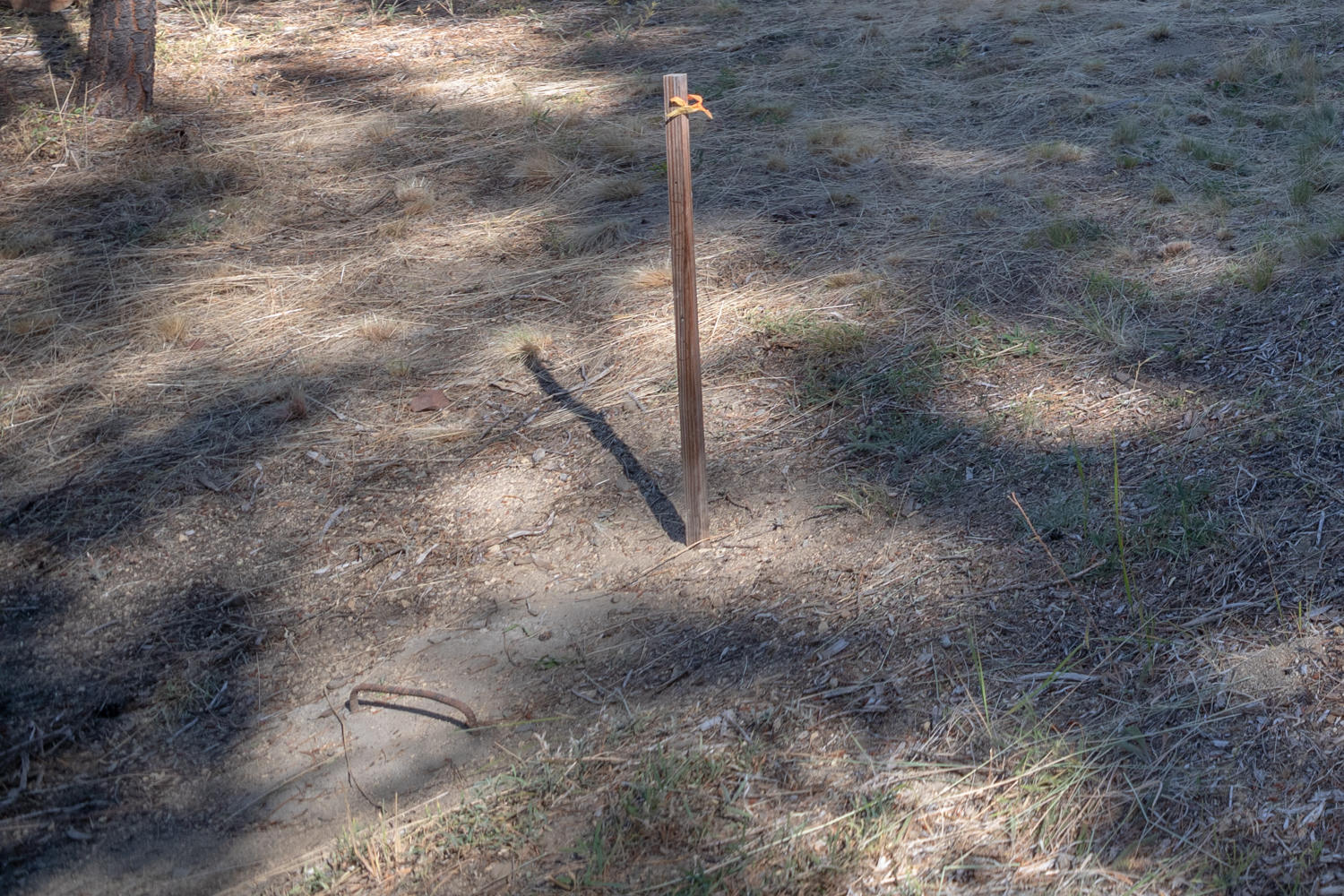 Wagon Trail Acreages - Land