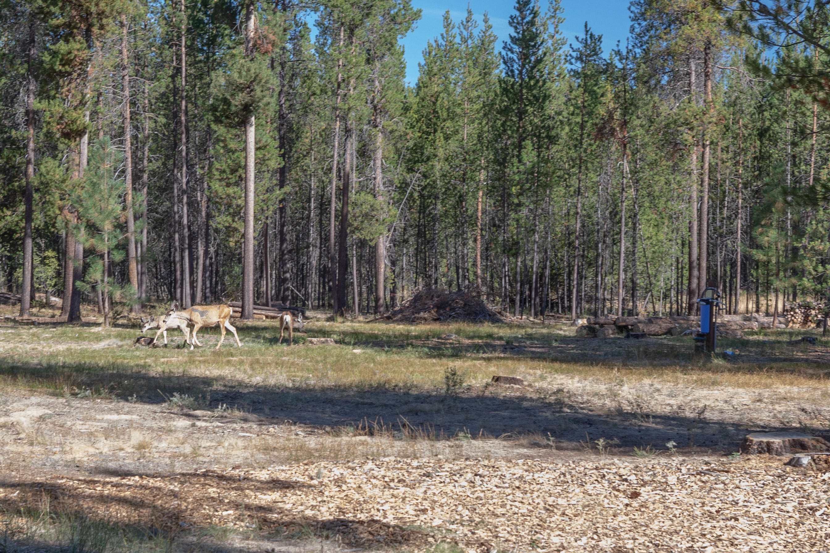 Wagon Trail Acreages - Land