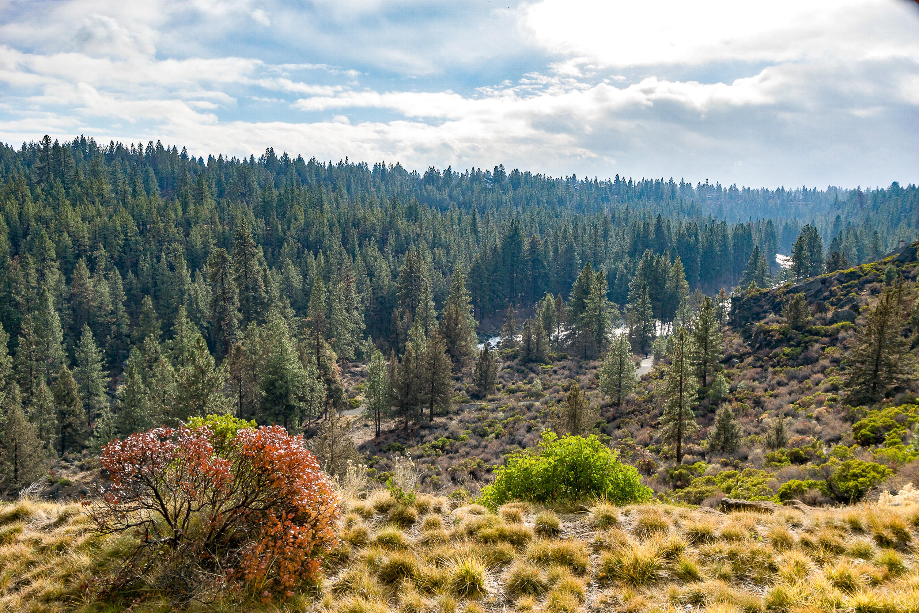 19717 SW Mount Bachelor Drive 330E