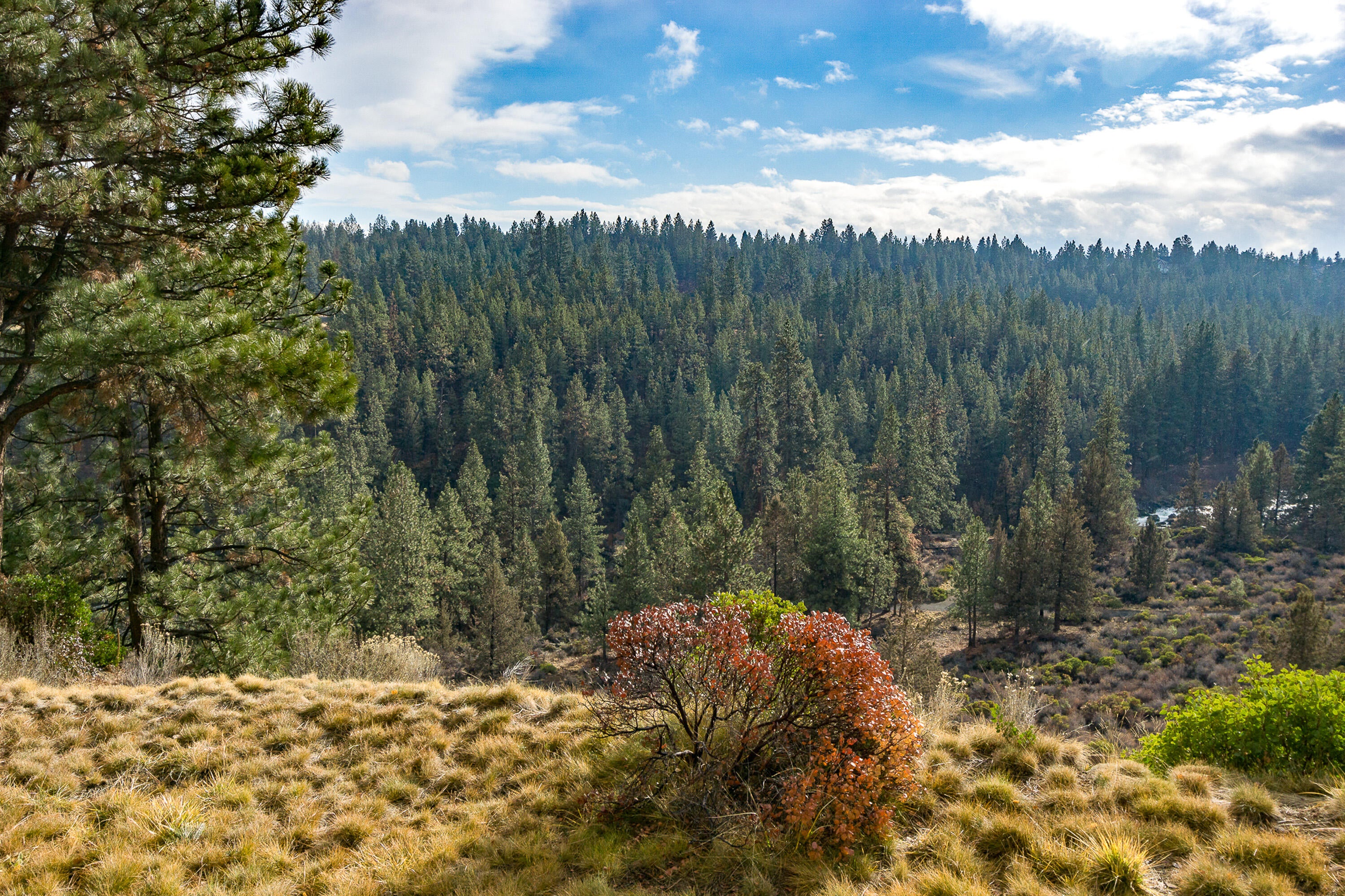 19717 SW Mount Bachelor Drive 330E