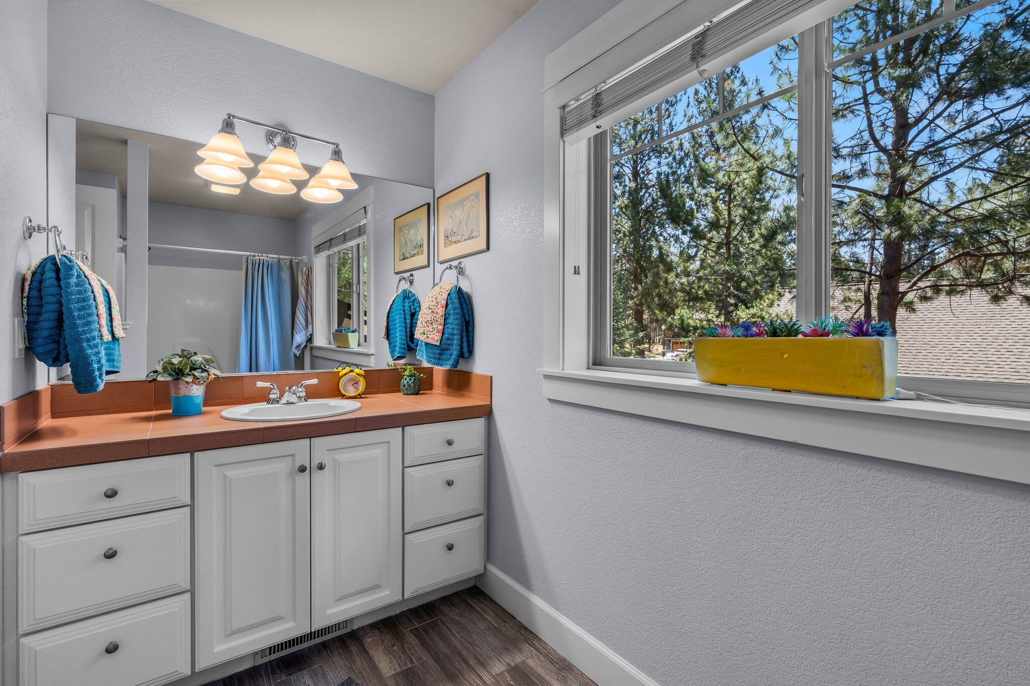 Coyote Springs - Residential