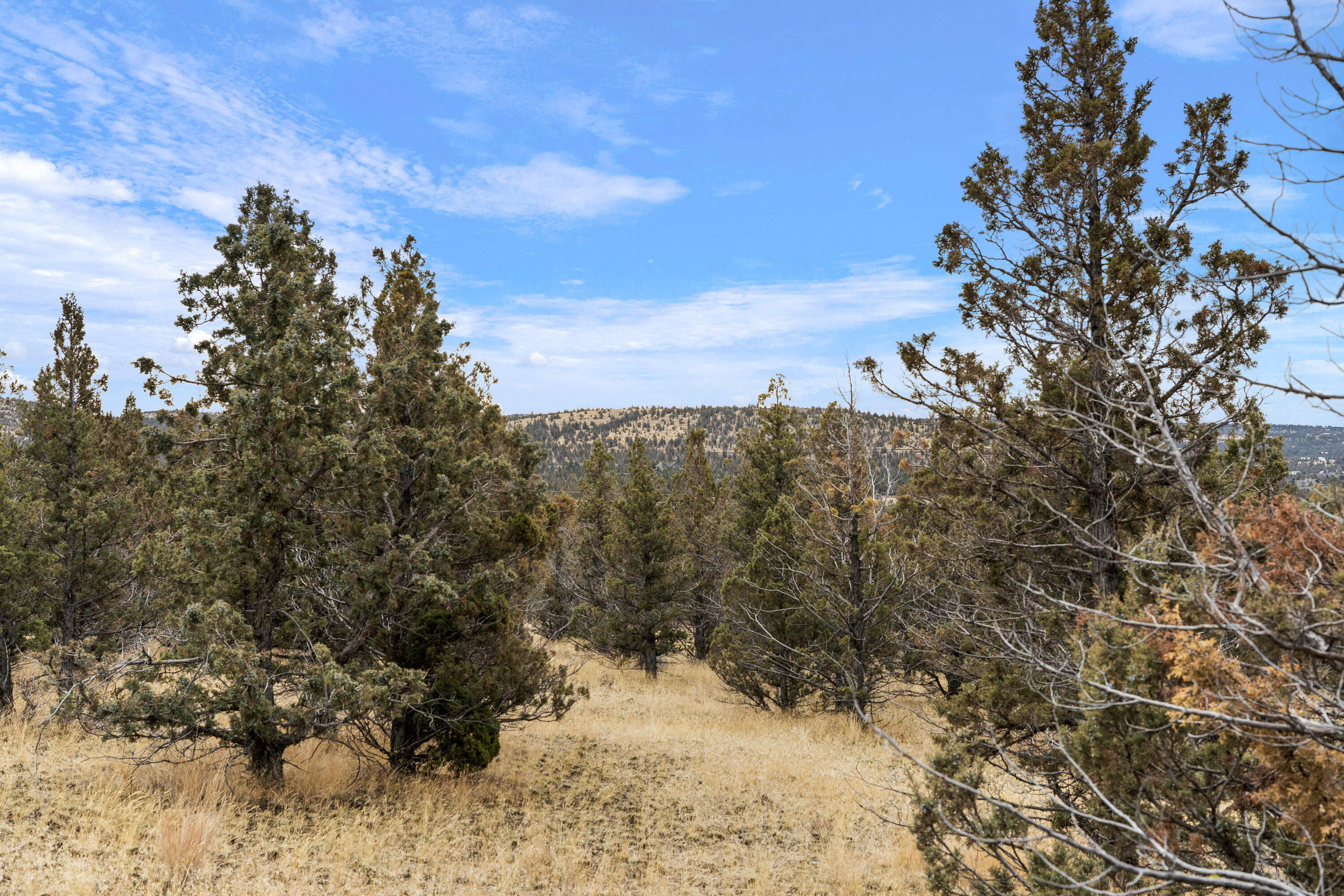 SE Juniper Canyon Road