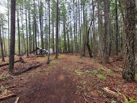 Tiny photo for 151 Linkhart Drive, Selma, OR 97538 (MLS # 220213567)