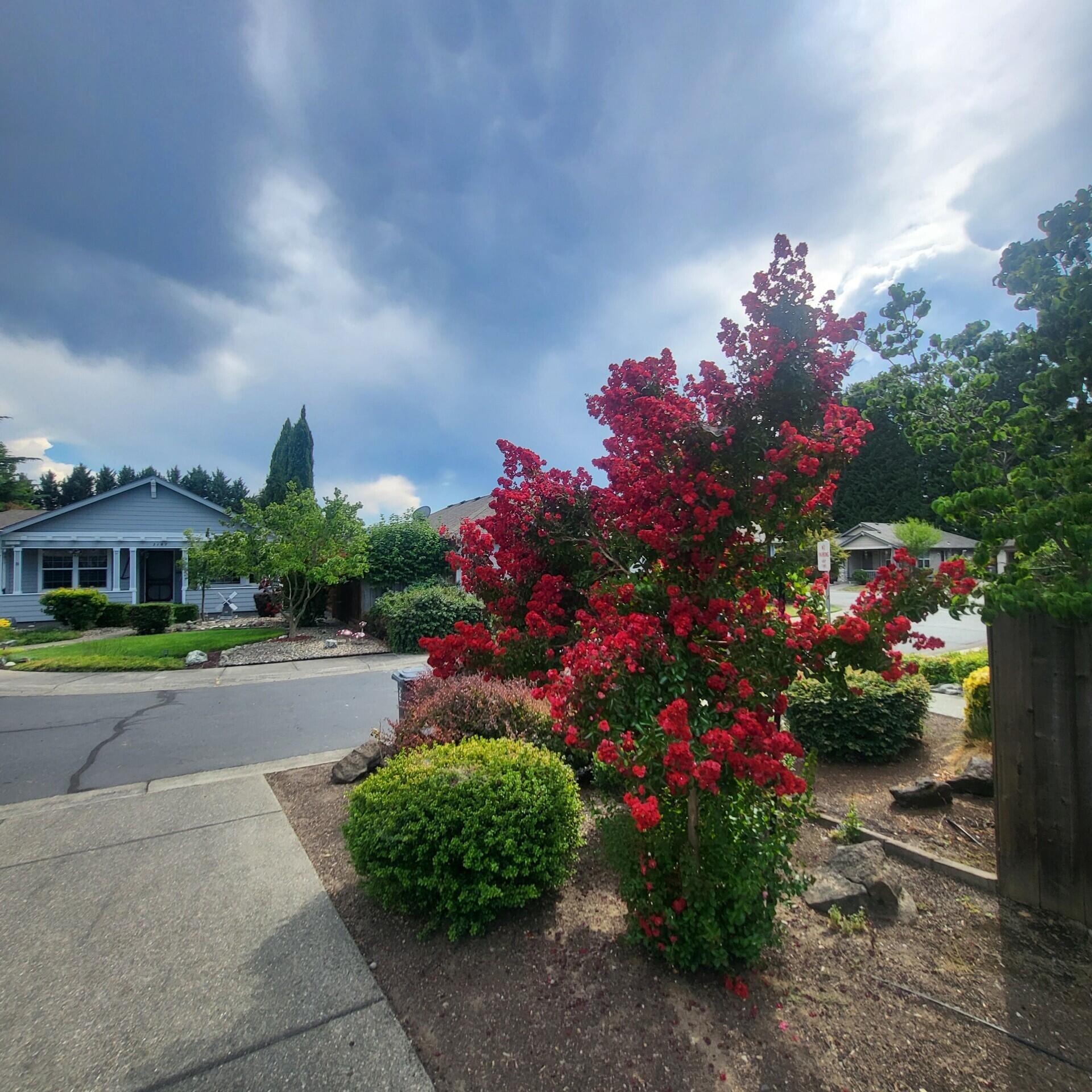 Schaefers Estates - Residential