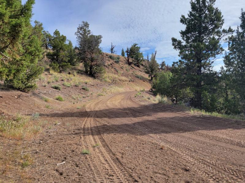 2615 SE Doubtful Dirt Road
