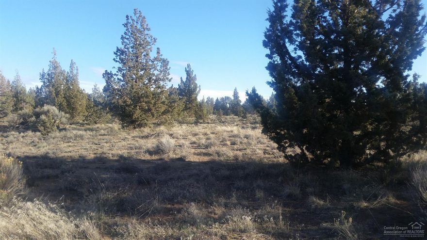 Rural living but only minutes to Redmond & airport, Prineville & Bend. Build your custom dream home in the private, gated community of roomy 20 acre parcels. There are walking paths and paved roads. This gated neighborhood offers protective CC&R's in area of nice custom homes & horse properties. There may be views depending on home placement.