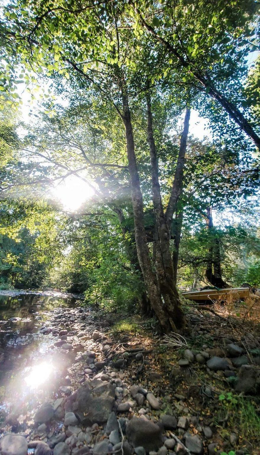 Beautiful piece of property about 9.5-miles up Elk Creek Road. Mature older growth trees, gated entry and more. Wonderful creek running through the property is tranquil and serene. You will not find a more affordable paradise with so many opportunities. Tons of wildlife and much, much more!