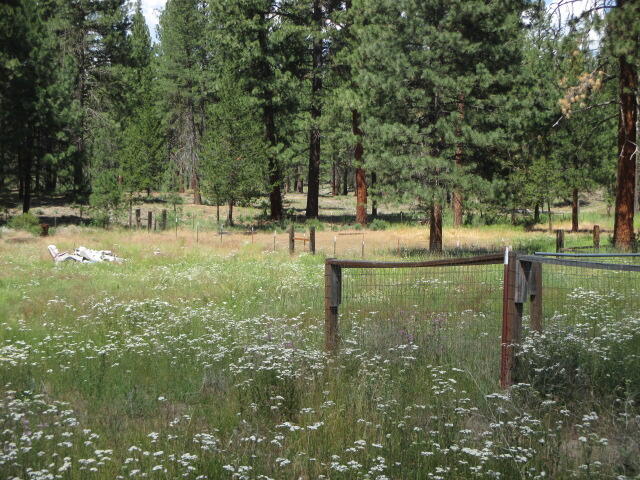 Woodland Park - Residential