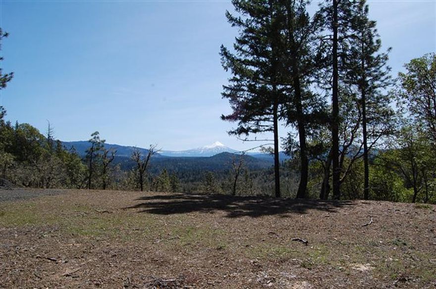Beautiful 80 Acres of Privacy is ready for your home or cabin. Mixture of woods and meadows. Power and phone are to the potential homesite, great solar potential & cell service. Well and septic are in. You'll love the majestic views of Mt McLoughlin and many other mountain ranges and the valley, plus seasonal creeks and streams. Lots of wildlife to enjoy; elk, deer, turkey,?? Enjoy privacy with the feeling of being remote yet not to far to town = dream location.