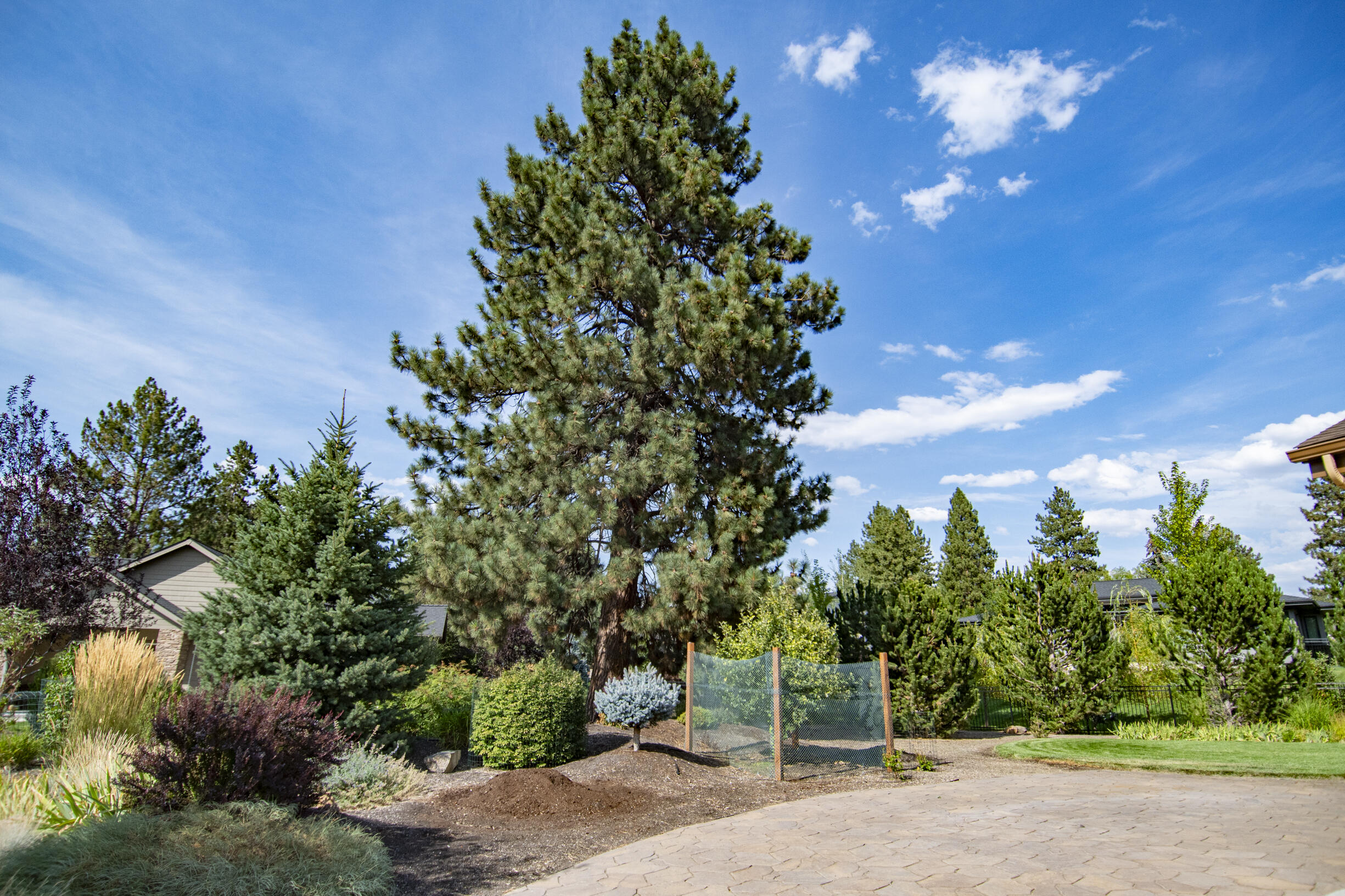 Orion Greens - Residential