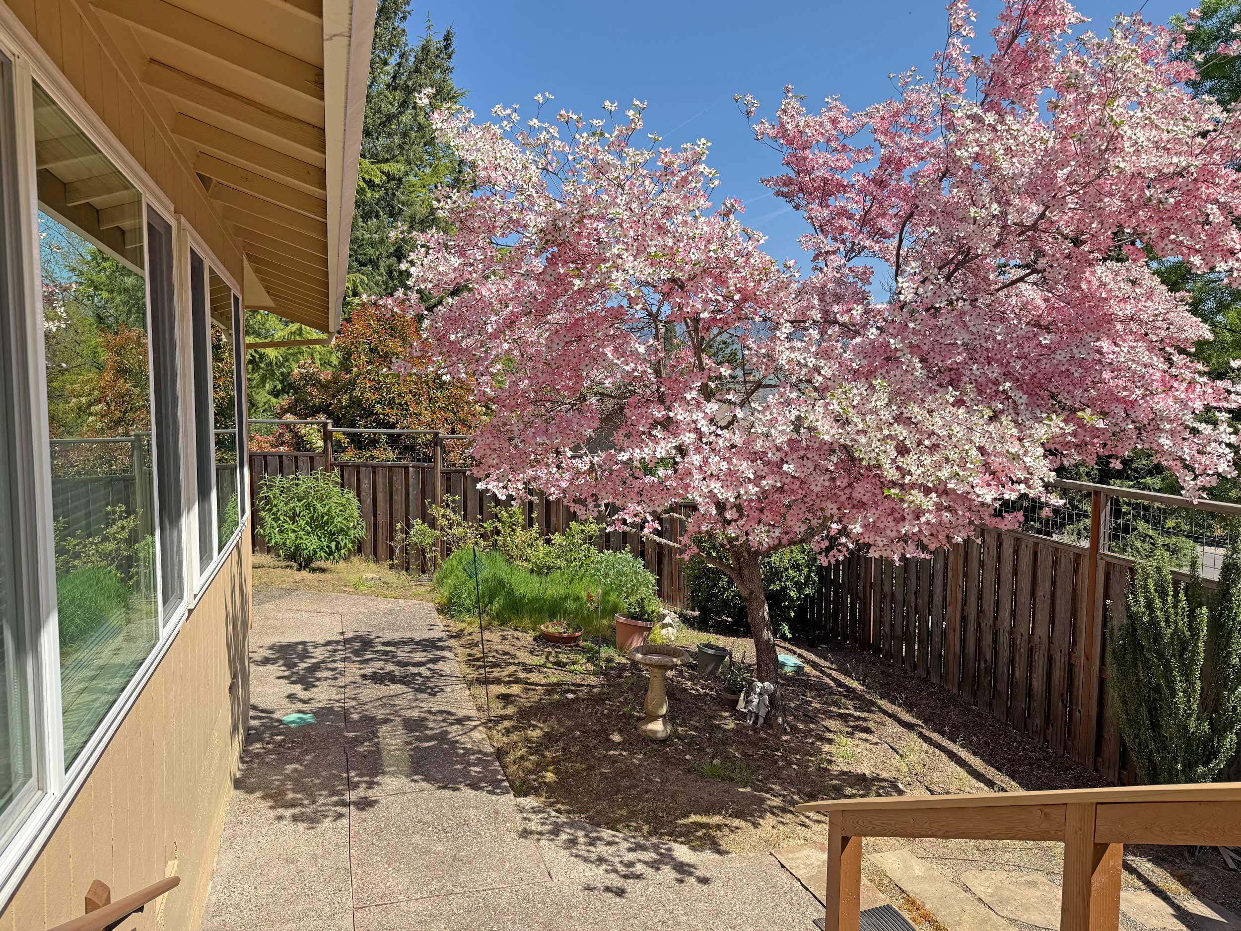 Mountain Ranch Subdivision Unit No 1 - Residential