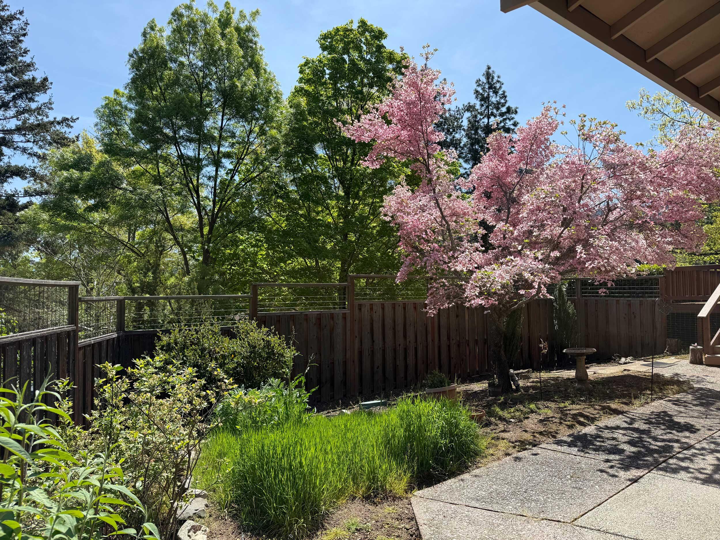 Mountain Ranch Subdivision Unit No 1 - Residential