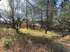 Herzberg Heights - Land