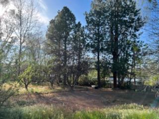 Herzberg Heights - Land