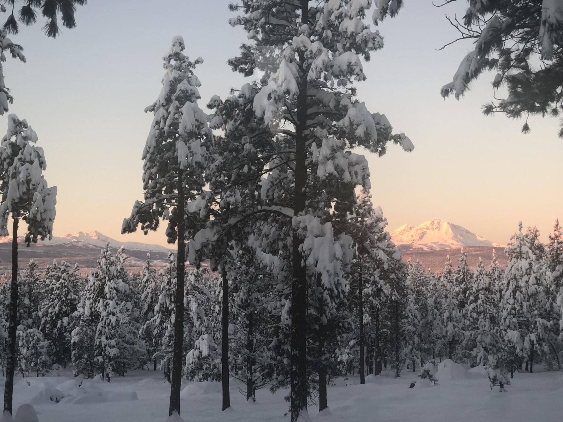 Junipine Acres - Residential