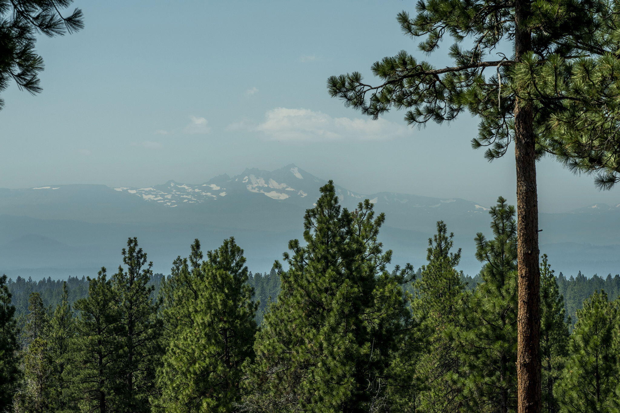 Junipine Acres - Residential