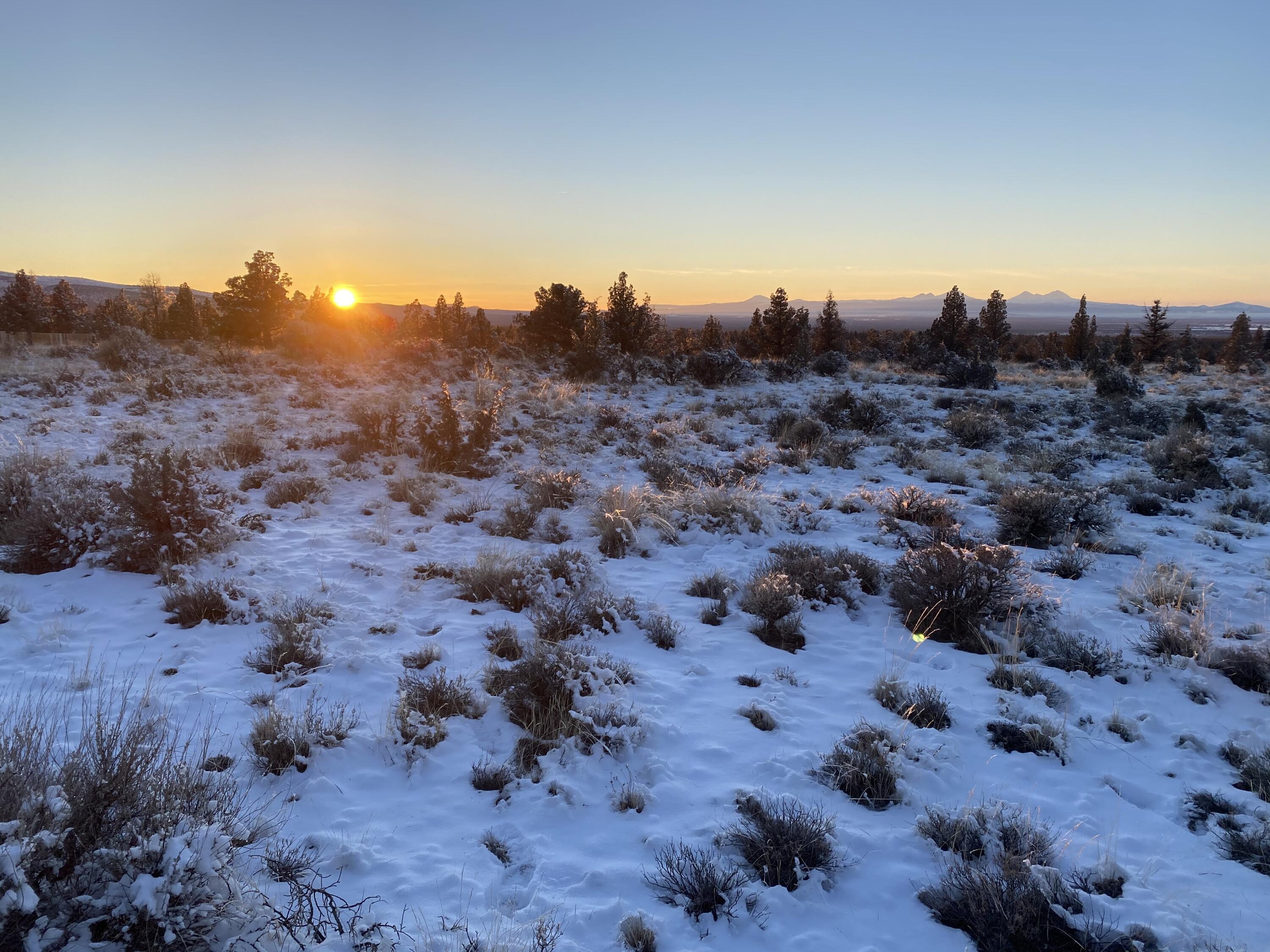 Juniper Acres - Land