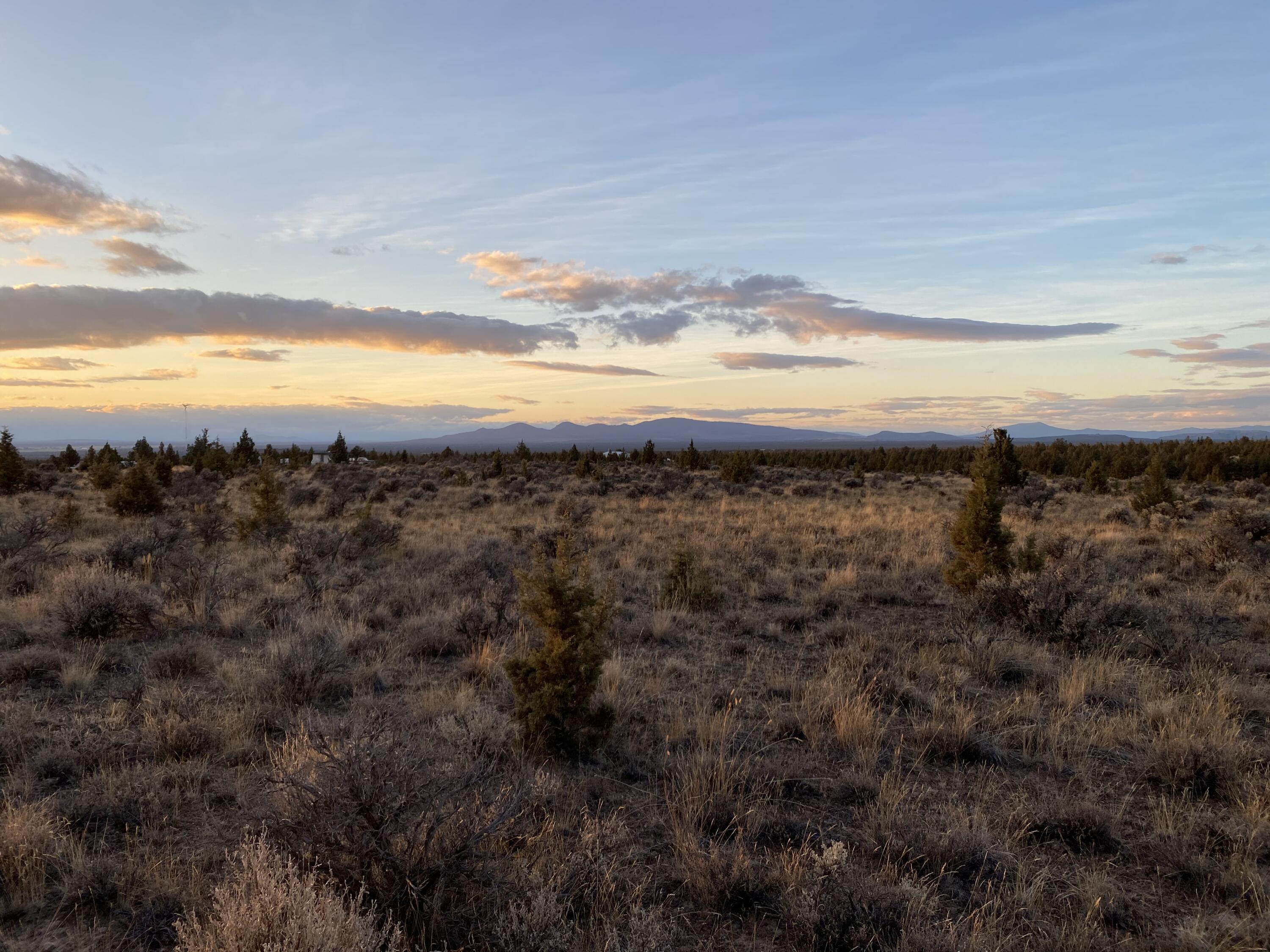 Juniper Acres - Land