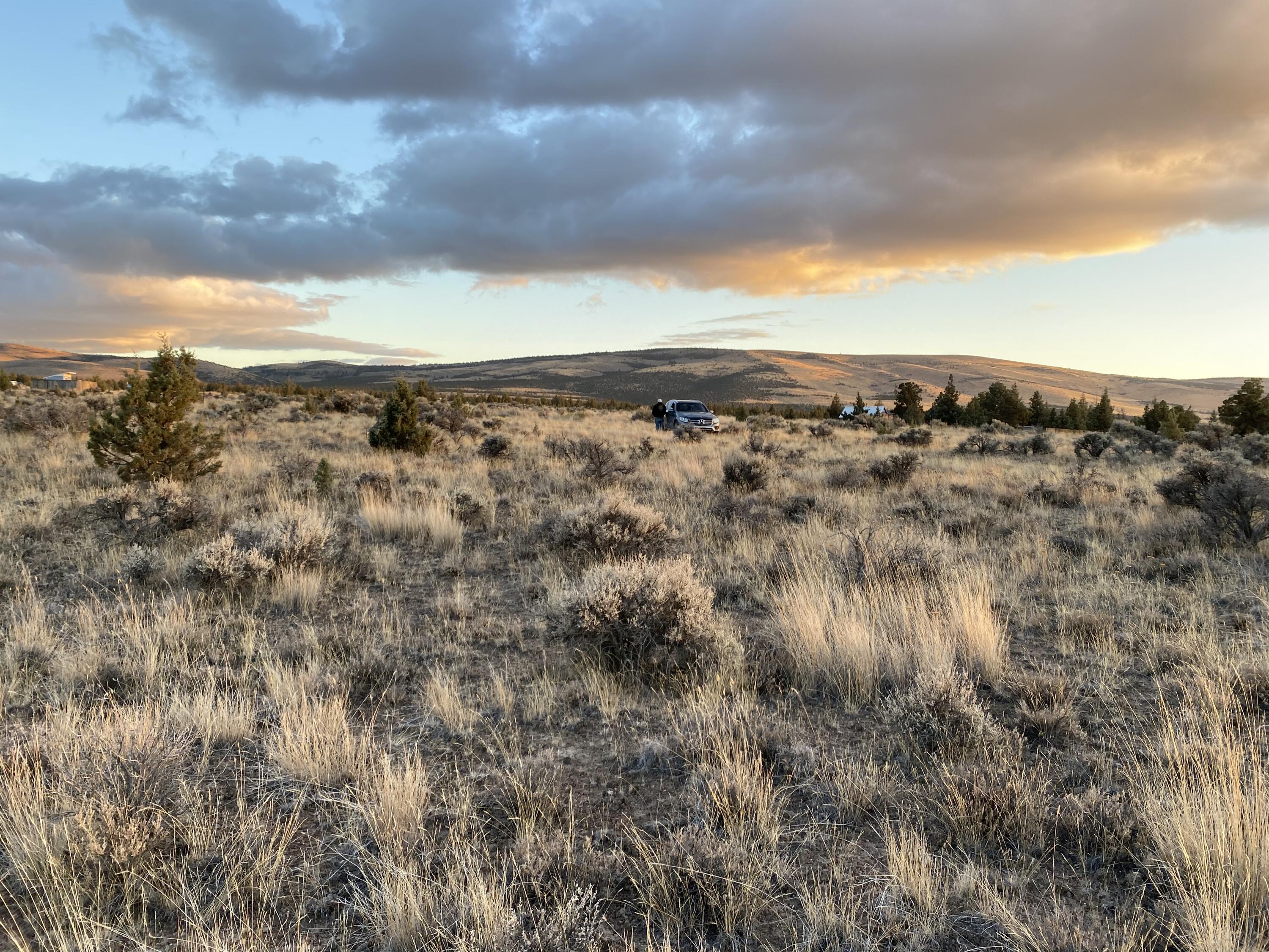 Juniper Acres - Land