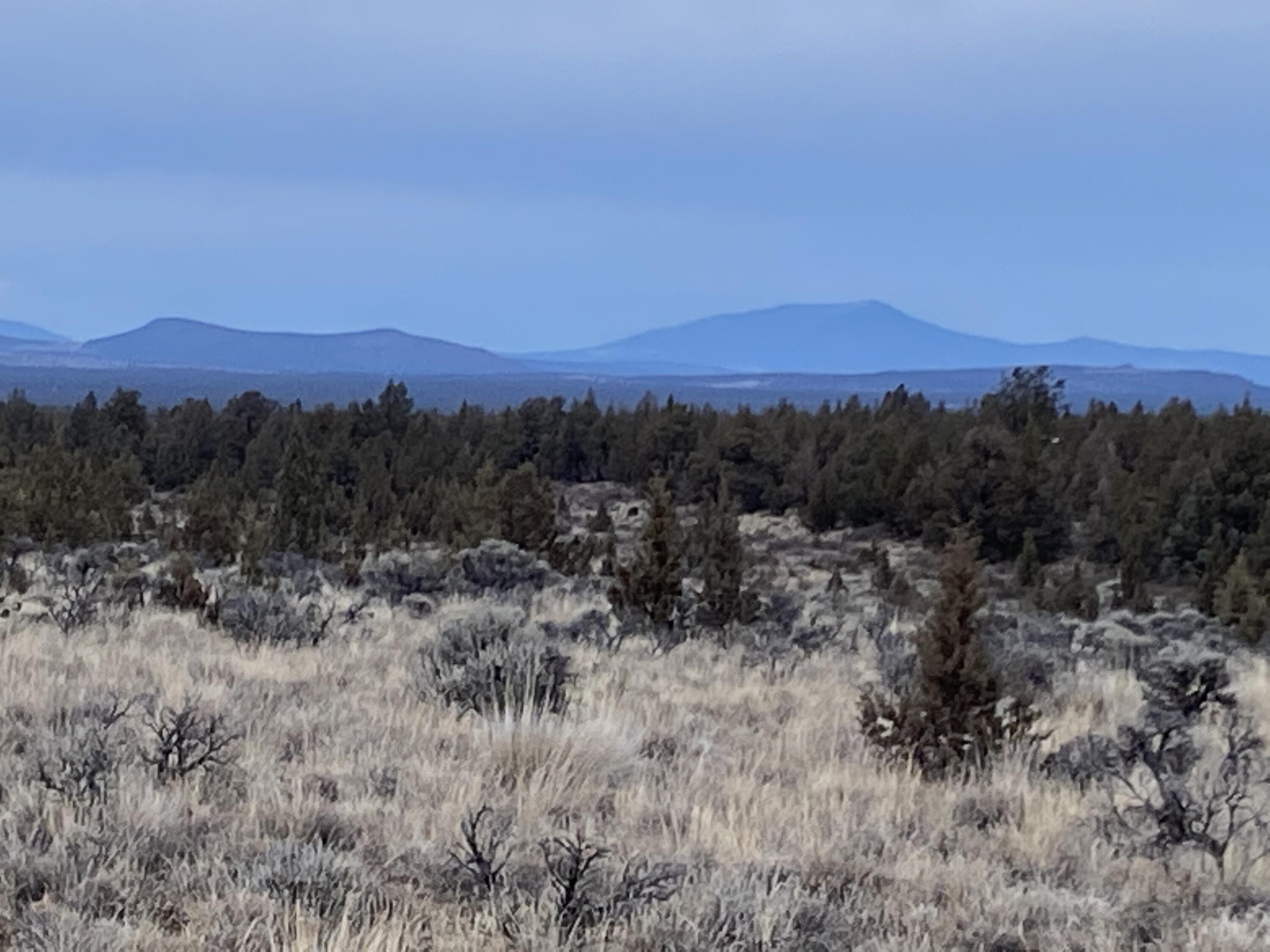 Juniper Acres - Land