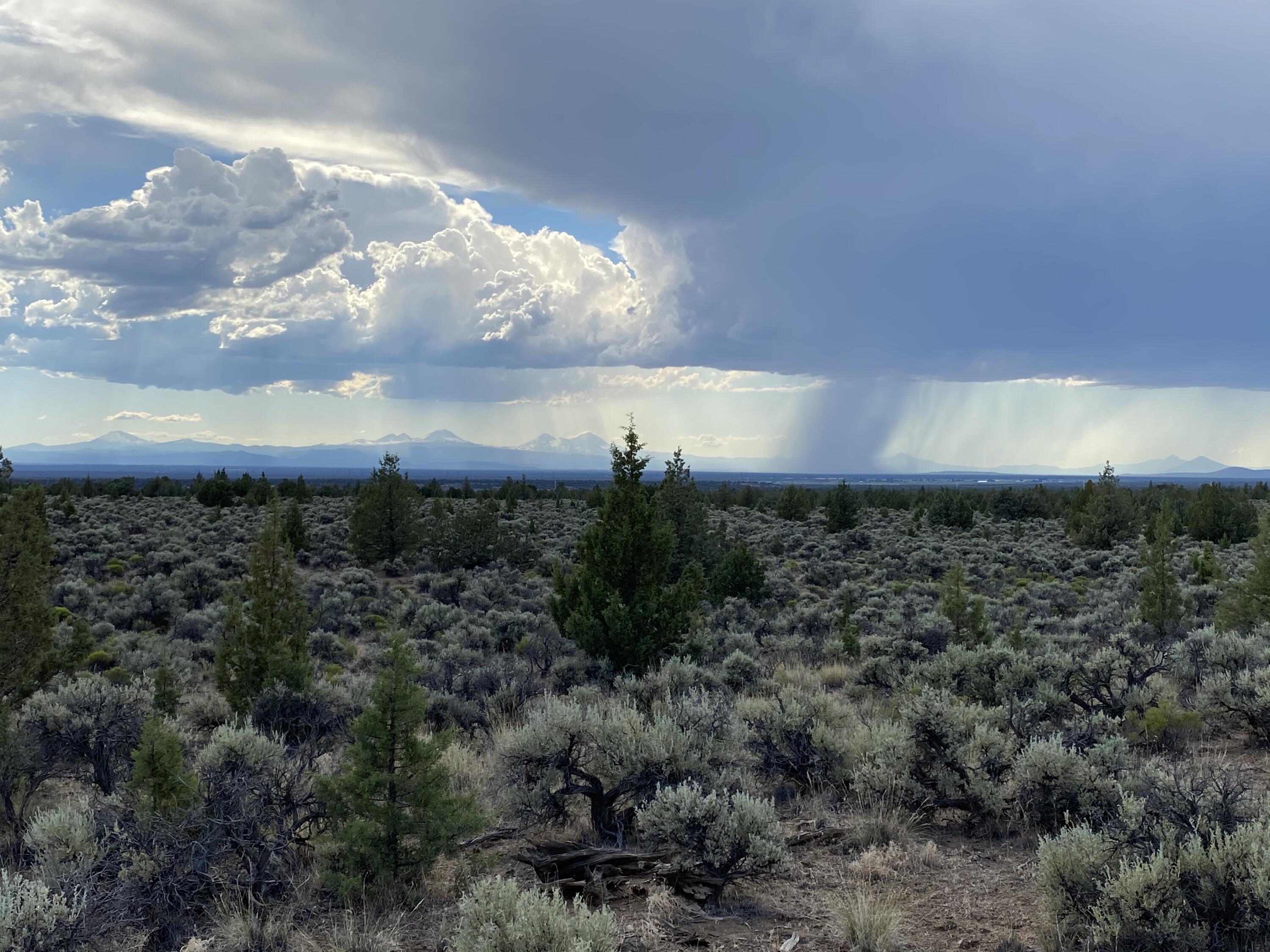 Juniper Acres - Land