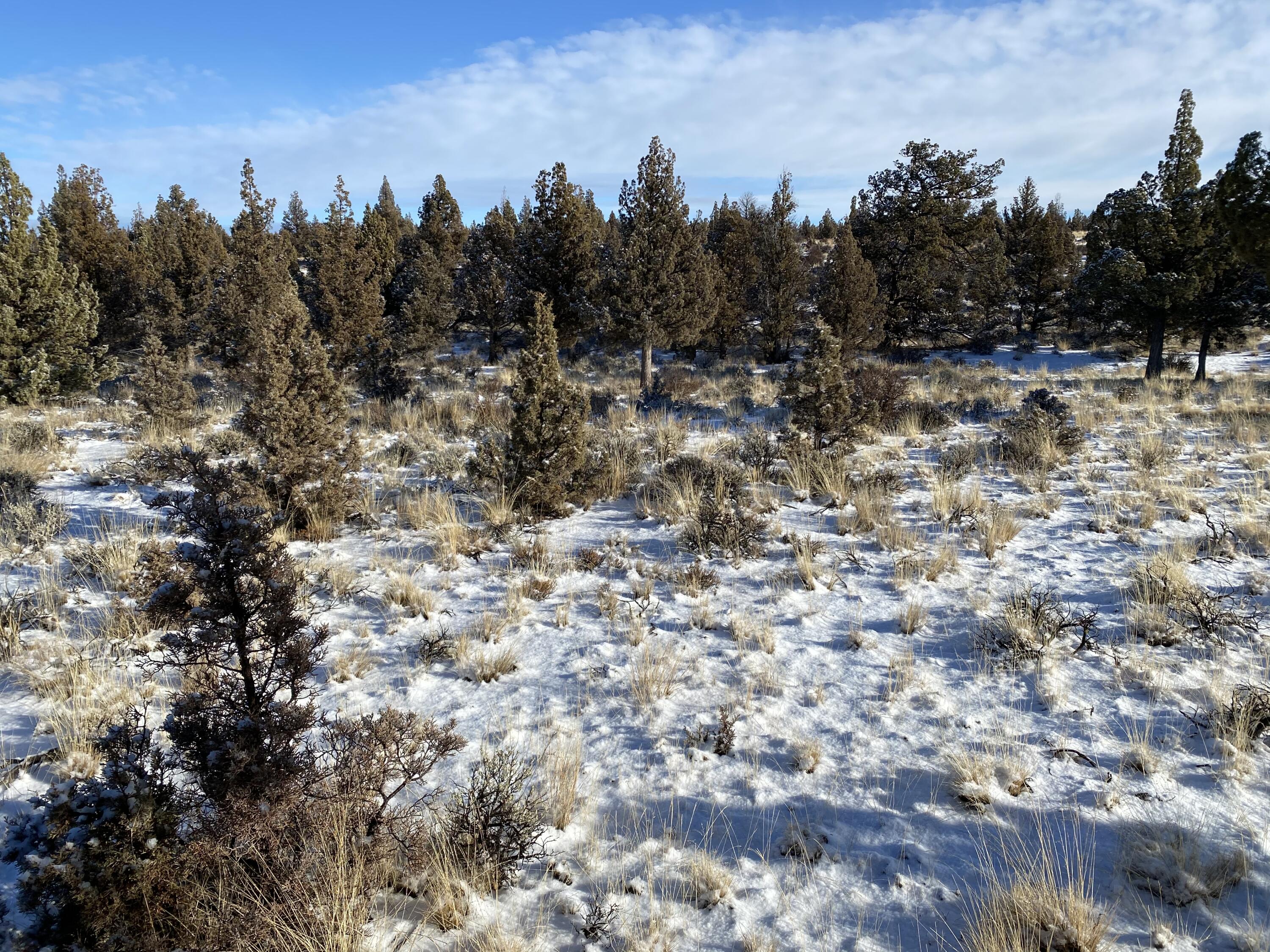 Juniper Acres - Land