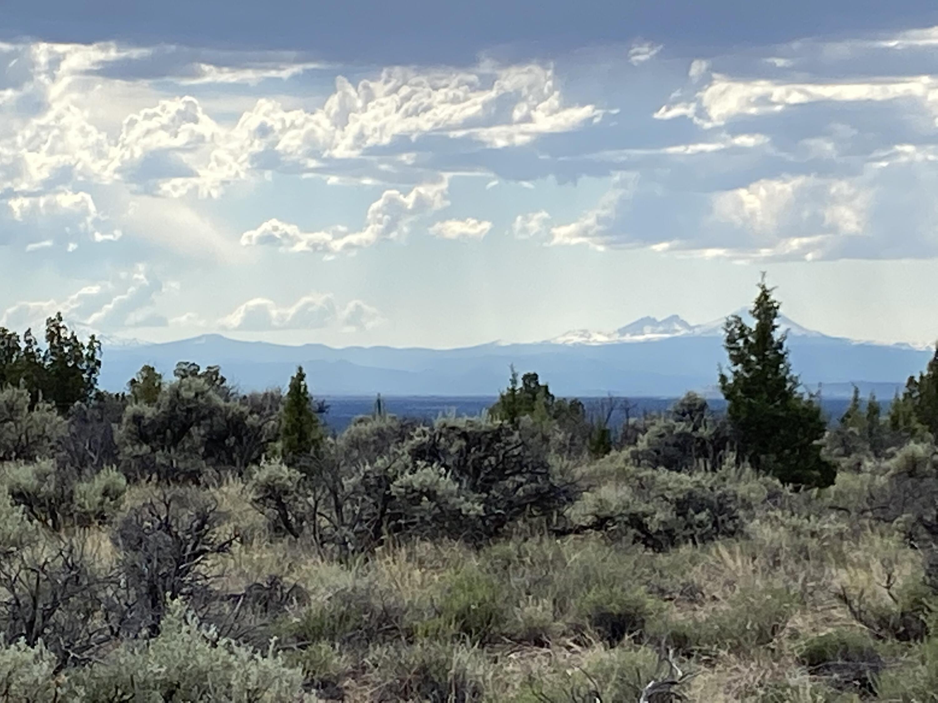 Juniper Acres - Land