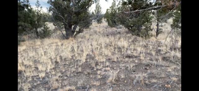 Juniper Acres - Land