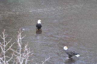 Spring River Acres - Residential