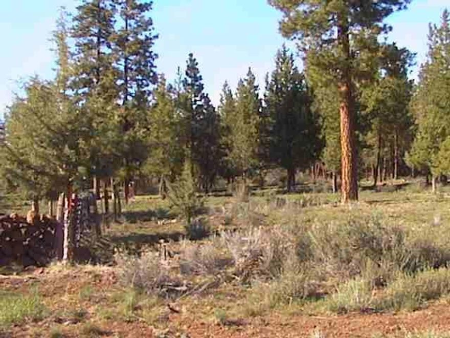2.30 Acre Parcel In The Pines. Owner Will Carry With Closing Costs Down.