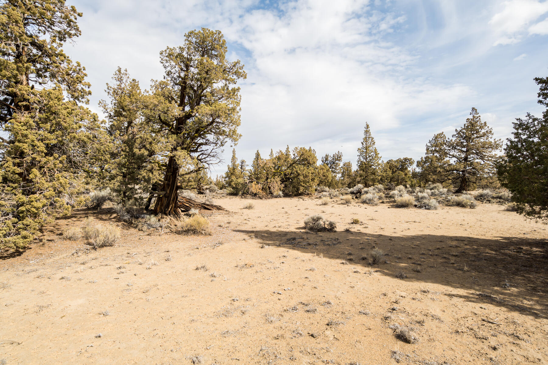 65660 Pronghorn Estates Drive Lot 29