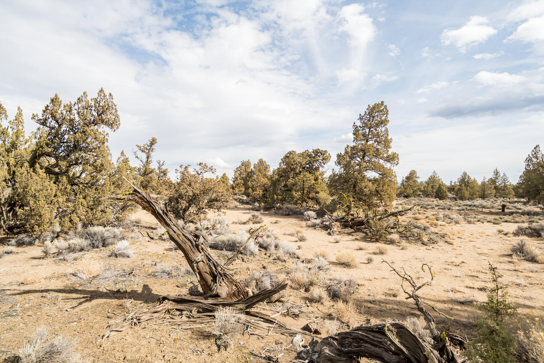 65660 Pronghorn Estates Drive Lot 29
