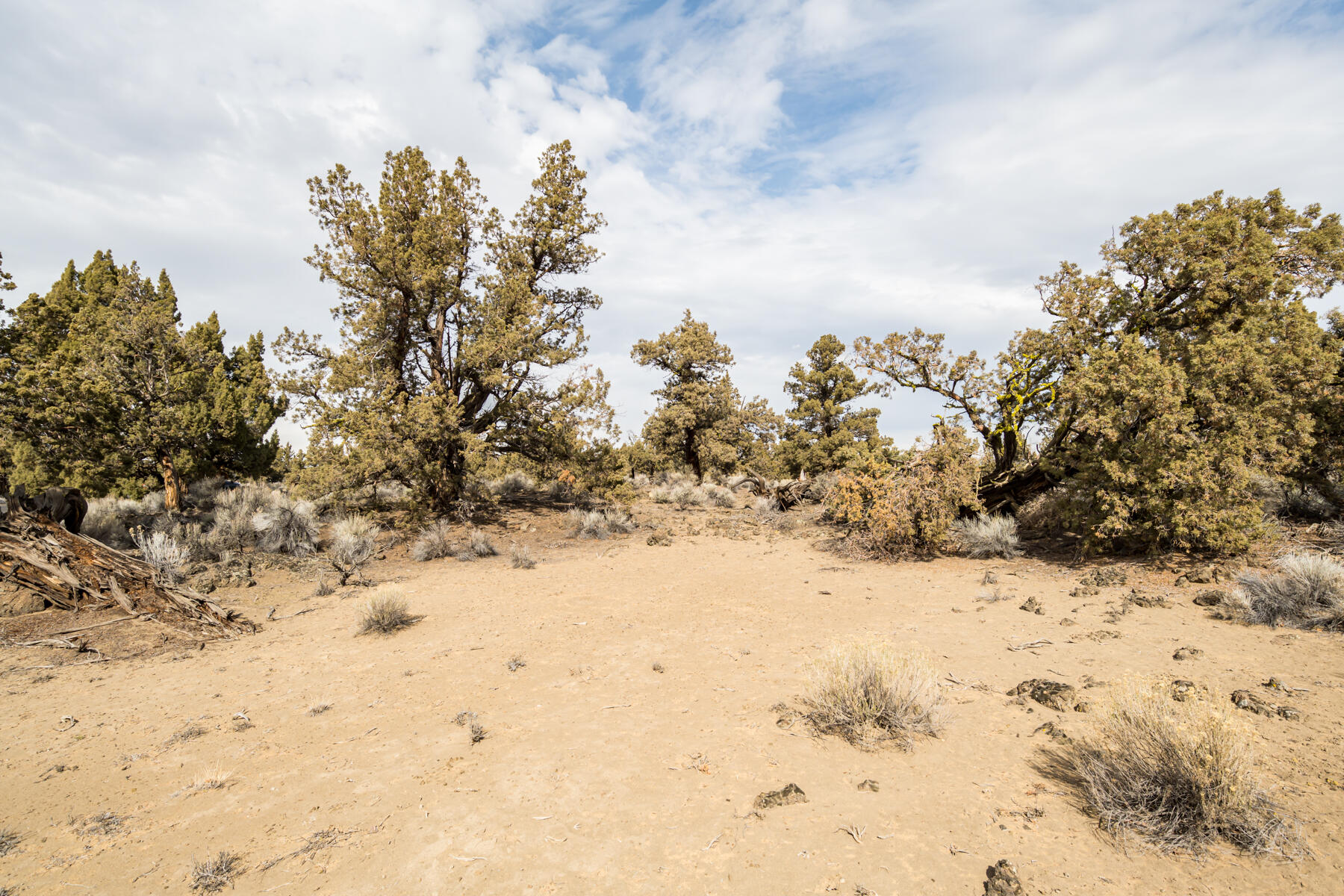 65660 Pronghorn Estates Drive Lot 29