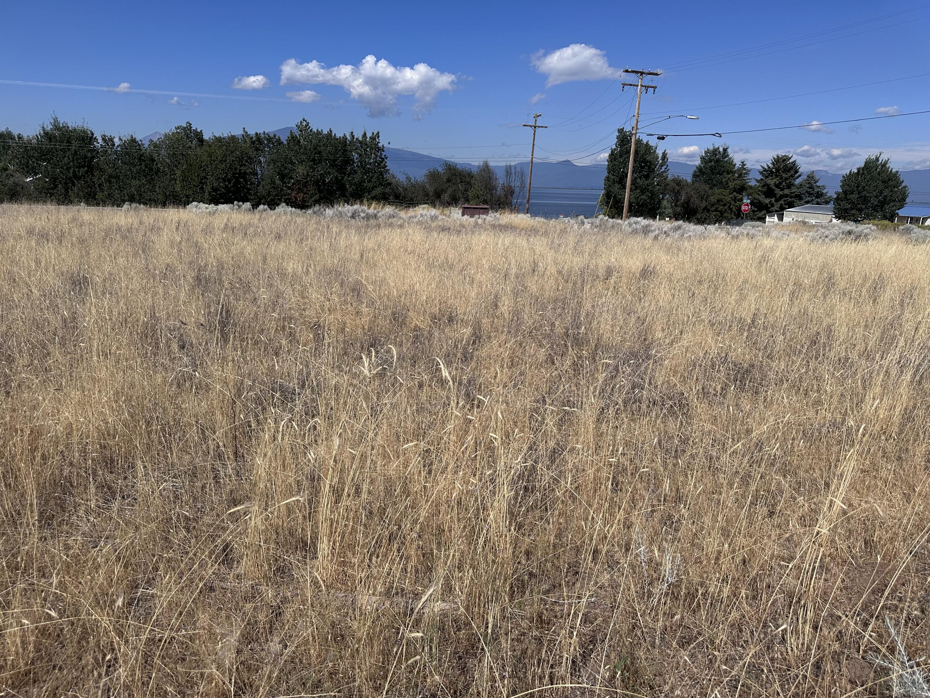 Oregon Shores -Unit 2 - Land