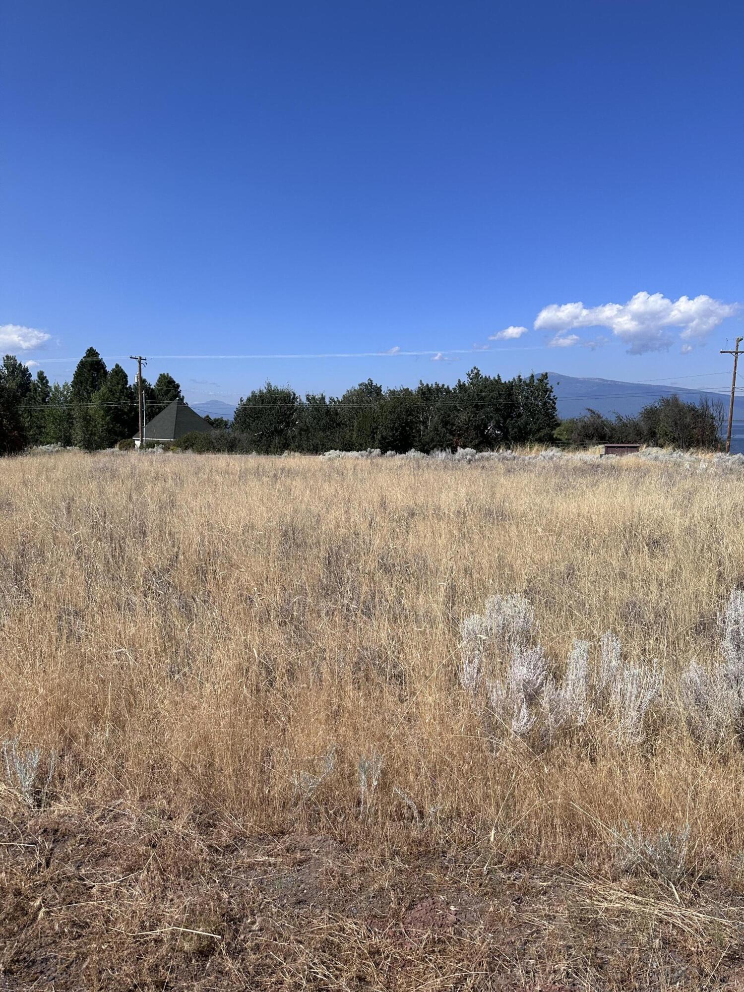 Oregon Shores -Unit 2 - Land