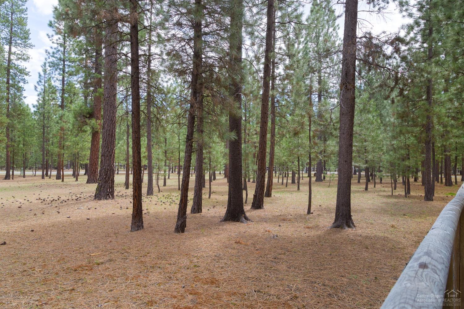 Ponderosa Pines - Residential