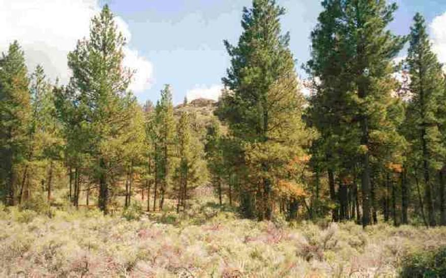 Great Recreational Retreat Or Yr Round Living! Plenty Of Wildlife & Open Space For Horseback Riding, 4-wheeling, Biking Or Just Plain Seclusion! In Area Of Sprague & Sycan Rivers. As Well As Sycan Marsh, Well Known Hunter's Paradise! This Wooded Property Is Mostly Flat, Then Slopes To A Butte At The Back. Easement Access Is Recorded And On File In Office. Stick Built Or Manufactured Home. Have A Plow. You Will Get Snow!