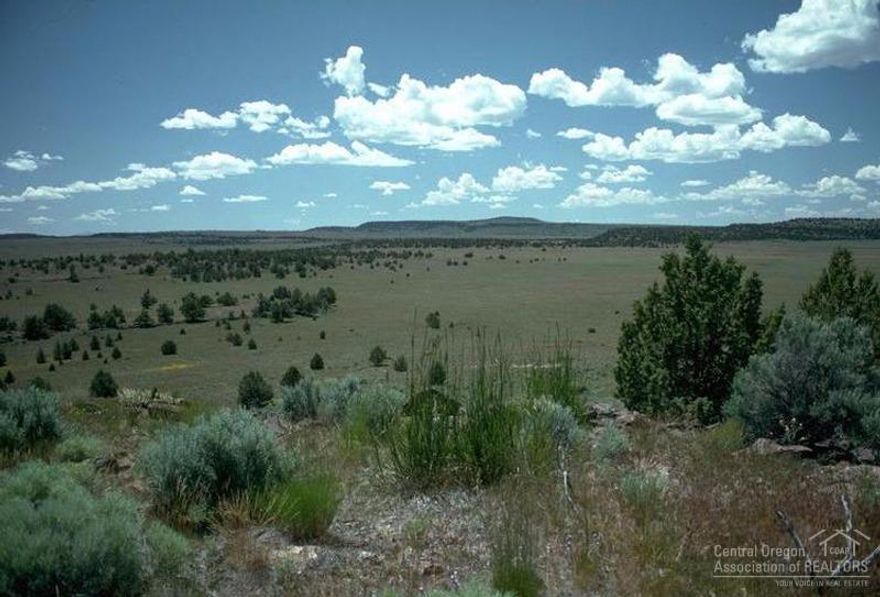 Room to roam. This 331 acre property is only thirty five miles outside of La Pine or forty five miles outside of Bend. Located in the NW corner of Lake County and minutes from East lake. You can use county roads and drive around the entire property.
