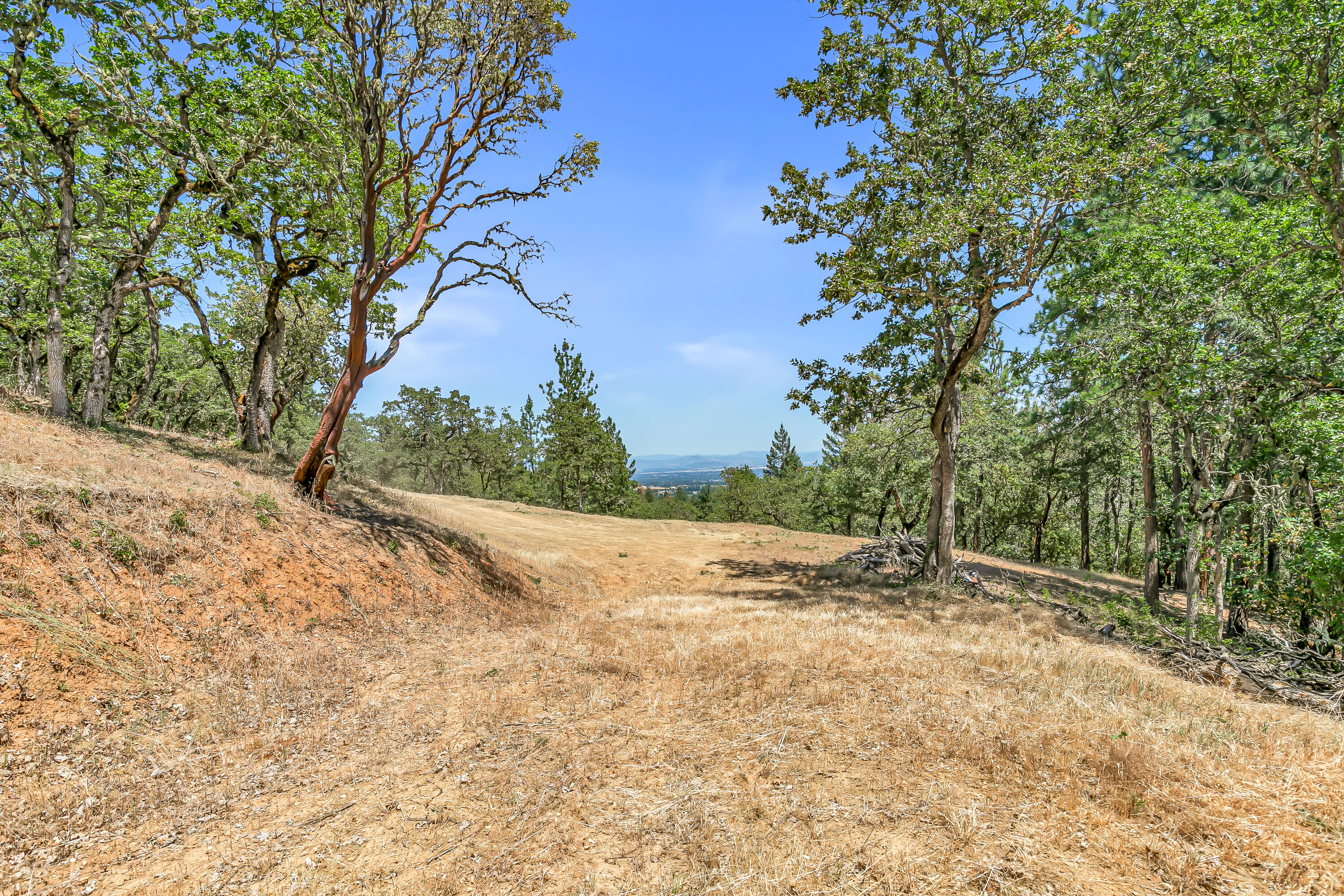 254 Juanita Way