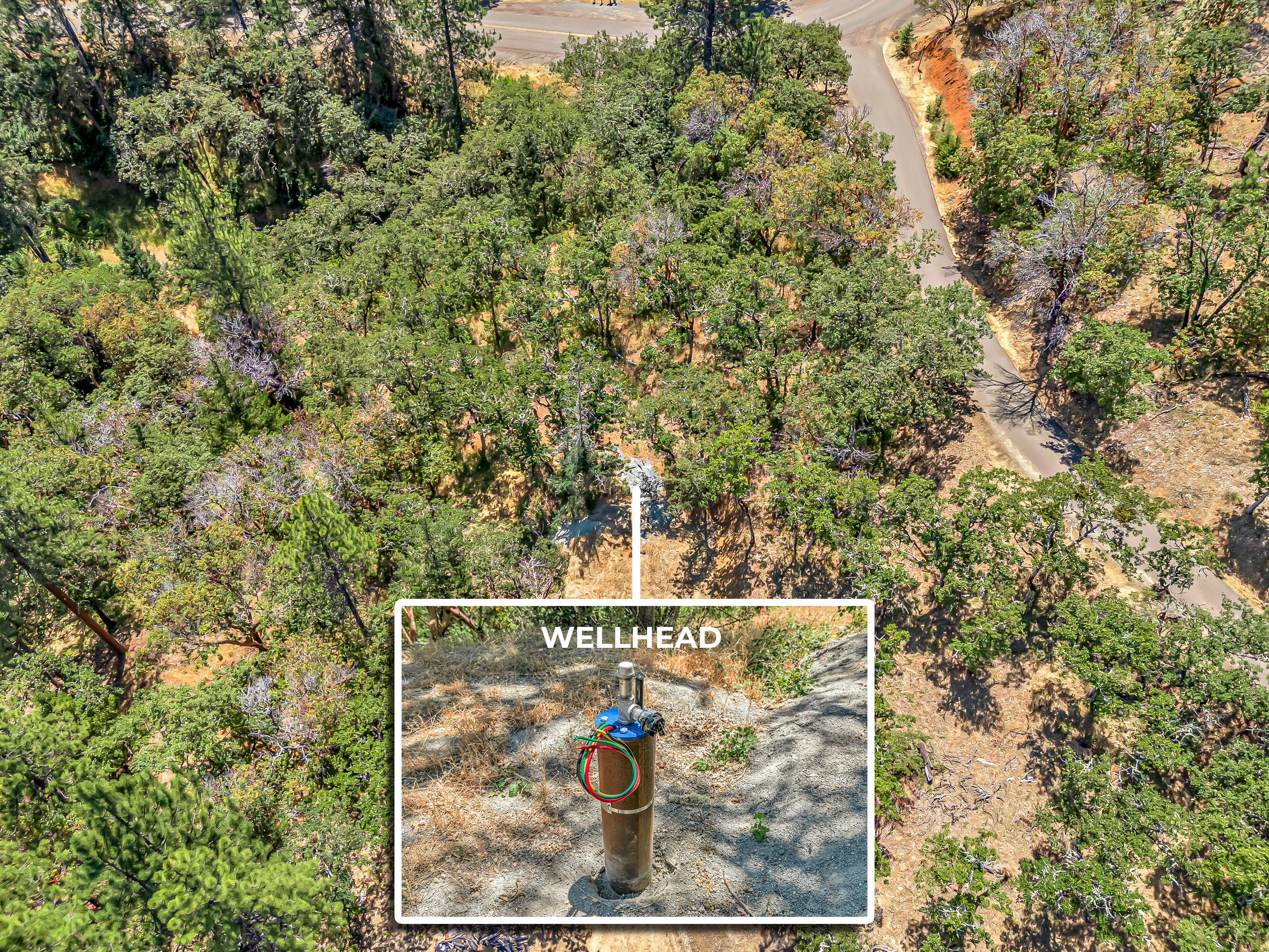 254 Juanita Way
