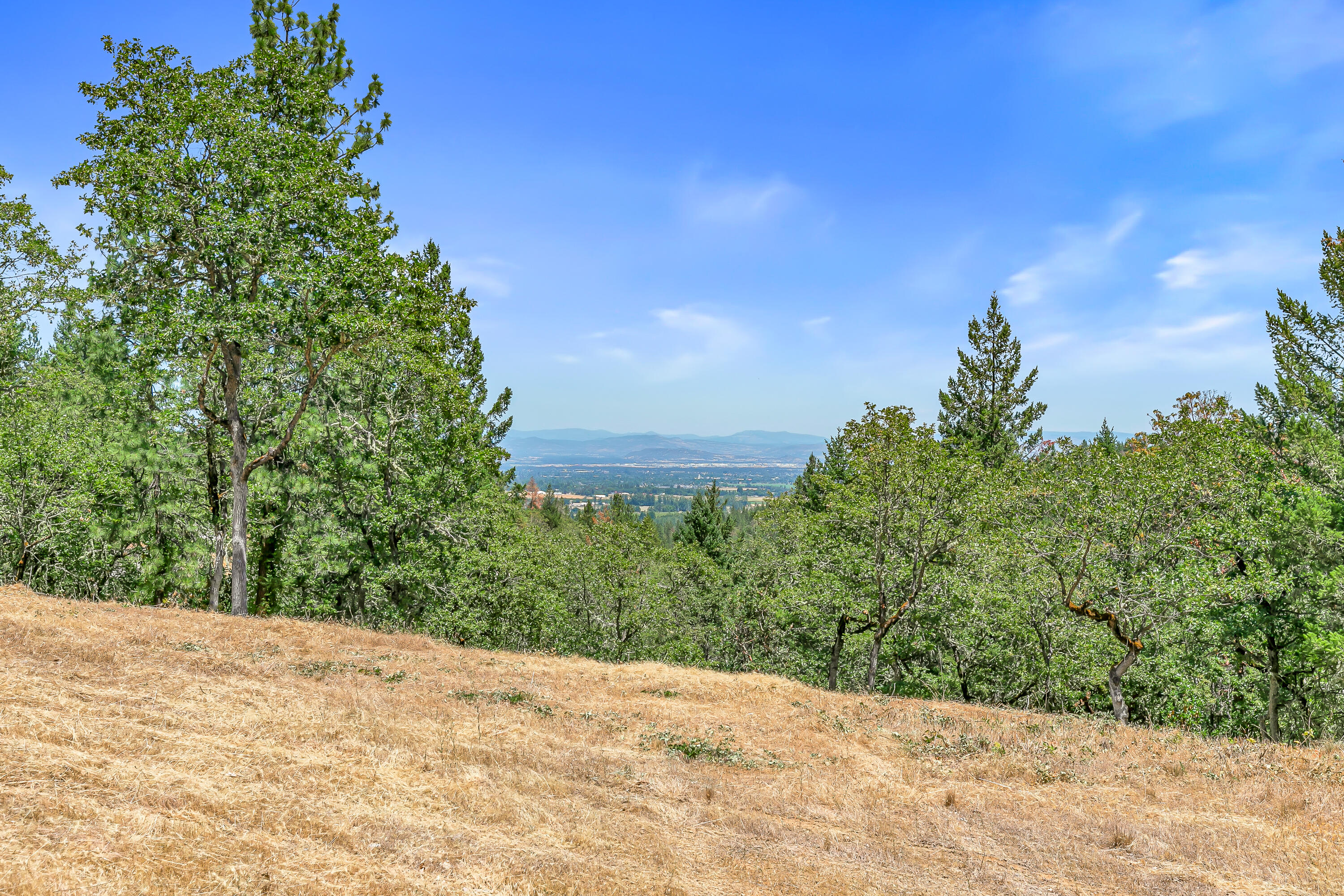 254 Juanita Way