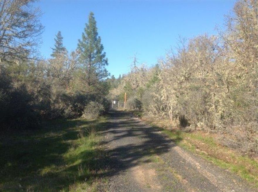 Hard to find 40 acres like this! Recreational property with all weather access. Power on the property, year-around creek with access to large tracts of BLM. Potential for home site.