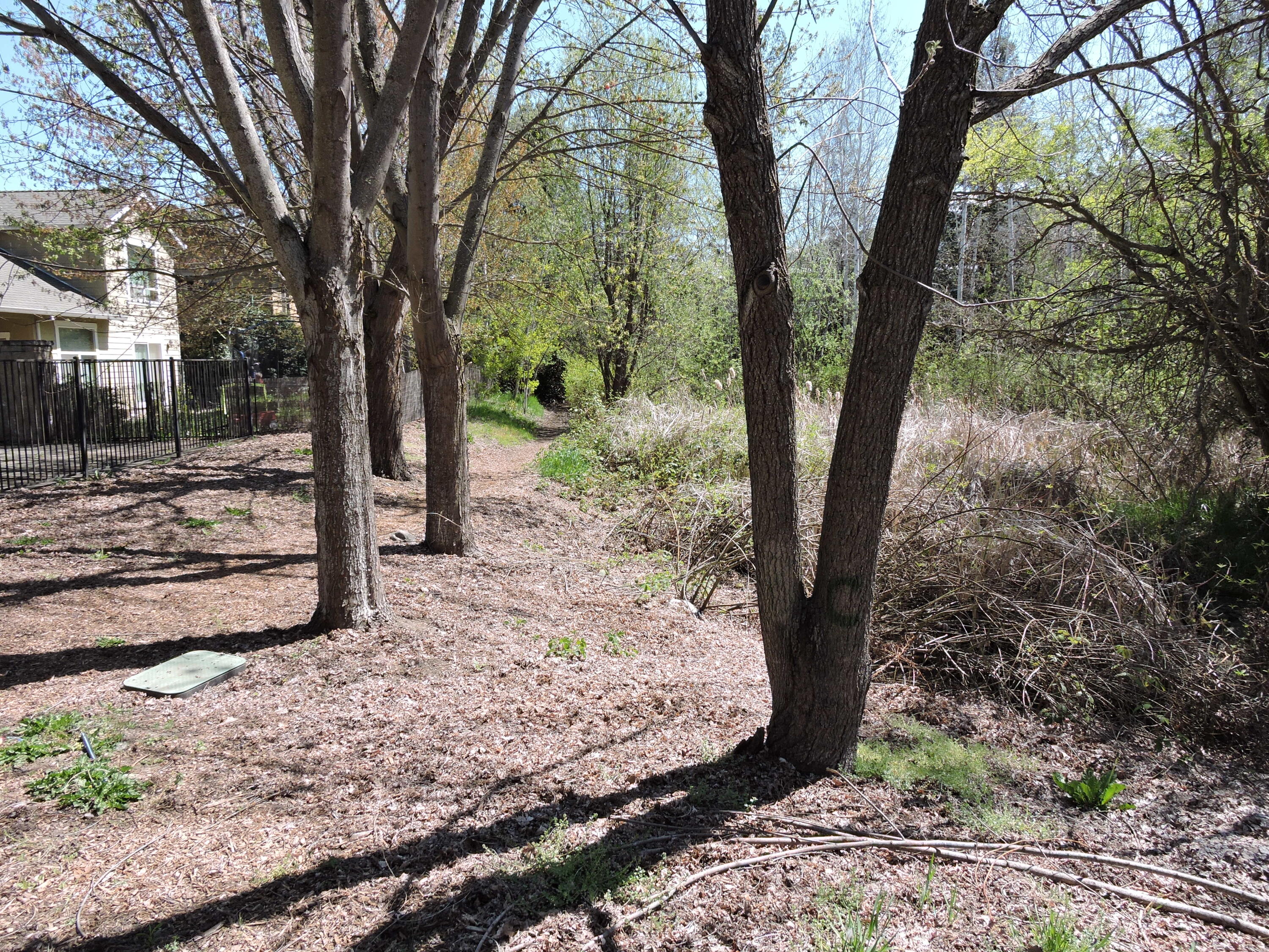 Spruce Landing Subdivision - Residential